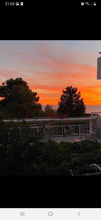 Apartment Tijana バール エクステリア 写真
